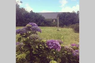 Maison de vacances en pierre entre terre et mer - Pluduno - 6