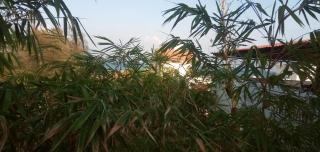 Meya Beach Walk Hotel - 1