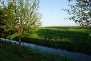Chalet at a holiday park in Opmeer near Amsterdam - 1