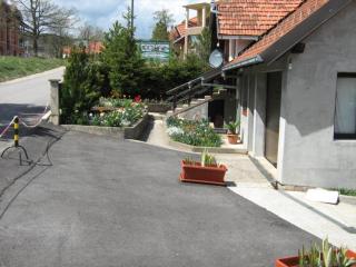 Apartments Zlatiborski Gajevi - Zlatibor - 3