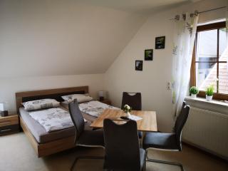 Angeln am Regen - Angelhof Posl - Nittenau - 2