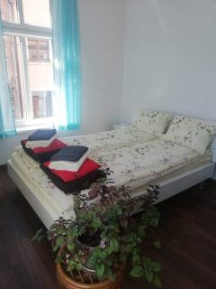 Hostel Staromiejski - Grudziądz - 7