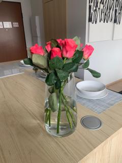 On THE MOON APARTAMENT - 2