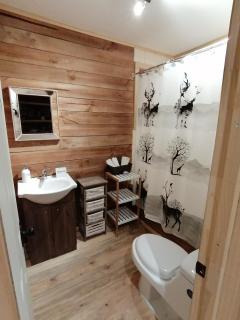The Loft - Las Trancas - 4