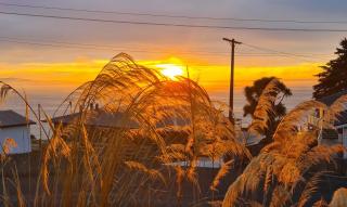 Kaka Point Spa Accommodation - Catlins - 3