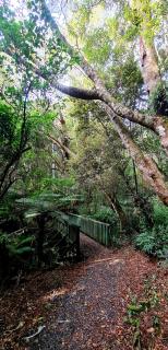 Kaka Point Spa Accommodation - Catlins - 1