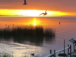 Lake Albert Motel - Meningie - 5