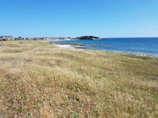 Cap Marine 8 - Le Guilvinec - 4