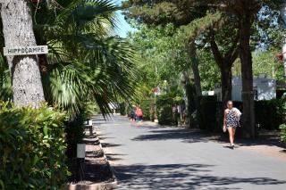 Camping Les Salisses - Maeva - 1