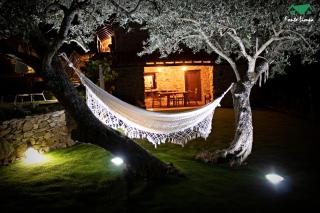 Casa da Fonte Limpa - Mirandela - 5