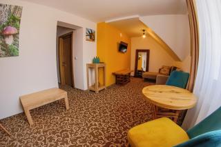 Residence Rooms Bucovina - Câmpulung Moldovenesc - 4