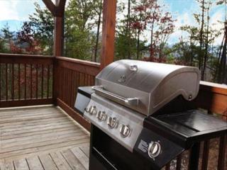 Party Hut - Sevierville - 4