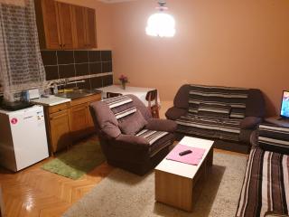 Apartmani Angelina Jošanička Banja - Jošanička Banja - 5
