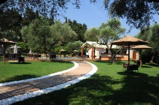 Eleas gi (Olive Grove Estate) - Tsilivi - 3