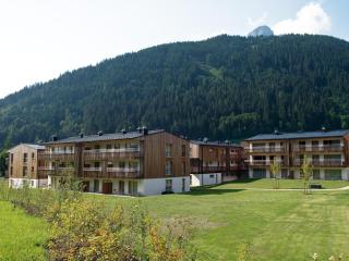 Ferienwohnungen am aja Bergresort Werfenweng - Werfenweng - 0