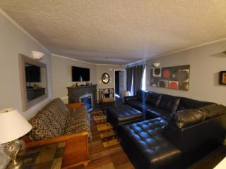 Winterplace Condo Ski in Ski out E103 - Ghent - 3