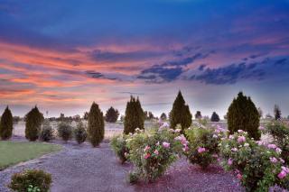 Holiday Inn Express & Suites Nampa - Idaho Center by IHG - Nampa - 4