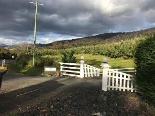 Hillside Bed and Breakfast - Huonville - 3