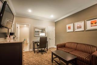 Comfort Inn & Suites Huntington Beach - Huntington Beach - 6