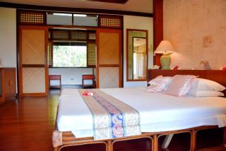 Badian Island Wellness Resort - 6