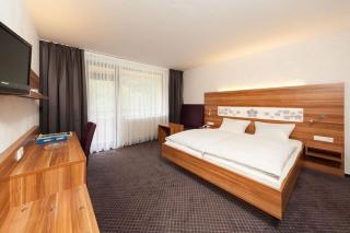 Hotel Vergissmeinnicht - Ellenz-Poltersdorf - 7