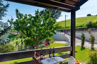 Villa Edy Barbaresco con piscina per gruppi e famiglie - Barbaresco - 5