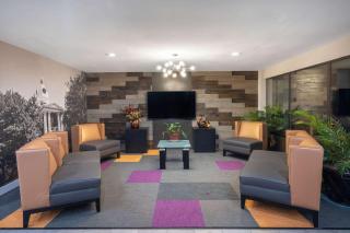 Baymont by Wyndham Murfreesboro - Murfreesboro - 5