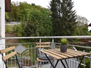 Apartment in Tannesberg with balcony - Tännesberg - 9