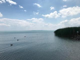 Pastel Guesthouse - Balatonfüred - 3