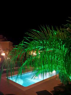 Nicole Luxury Villas - 8