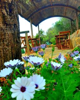 Marettimo Residence - Marettimo - 6