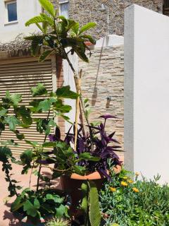 Levante beach houses - 6