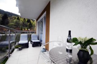 Apartamenty Biała Sowa Czarna Góra - Sienna - 3
