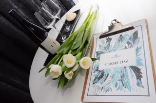 Apartamenty Biała Sowa Czarna Góra - Sienna - 3