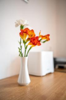 Winzerferienhaus Schüller - 5