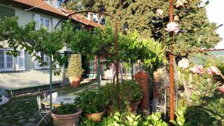 Villa Ponzio - Genova - 9