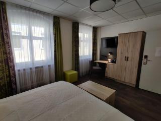 Hotel Goldene Traube - Günzburg - 1