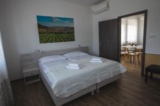 Apartmány Pemag Mikulov - Mikulov - 0
