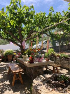 Elia's House Traditional & Cozy by 8essentially - 9