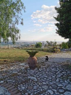 Villa Dei Romani - Country House - Guidonia - 4