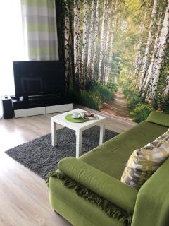 M&K Apartamenty Zielony Zakątek - Sobieszewo - 8