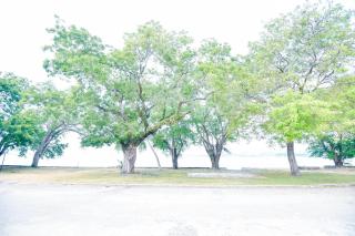 Lumut Suites - Lumut - 4