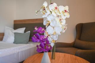 Hotel Novostar - Gottinga - 1