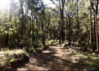 Northfield Boutique Apartments - Woodend - 9