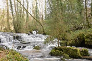 Studio aux Sources de la Chabanne - Saint-Hilaire-les-Courbes - 6