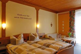 Gasthof-Metzgerei-Pension Schierlitz - Rimbach - 6