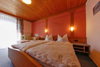 Gasthof-Metzgerei-Pension Schierlitz - Rimbach - 8