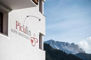 Piculin Alpin Apartments - San Martino in Badia - 3