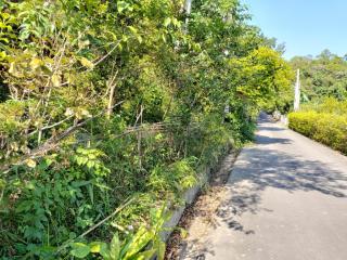 遇見台灣百合民宿 - 4