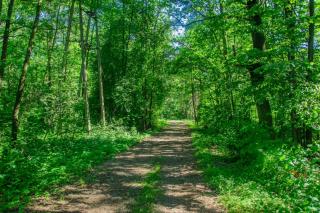 Pokoje BALDI Benelux - Skoczów - 3